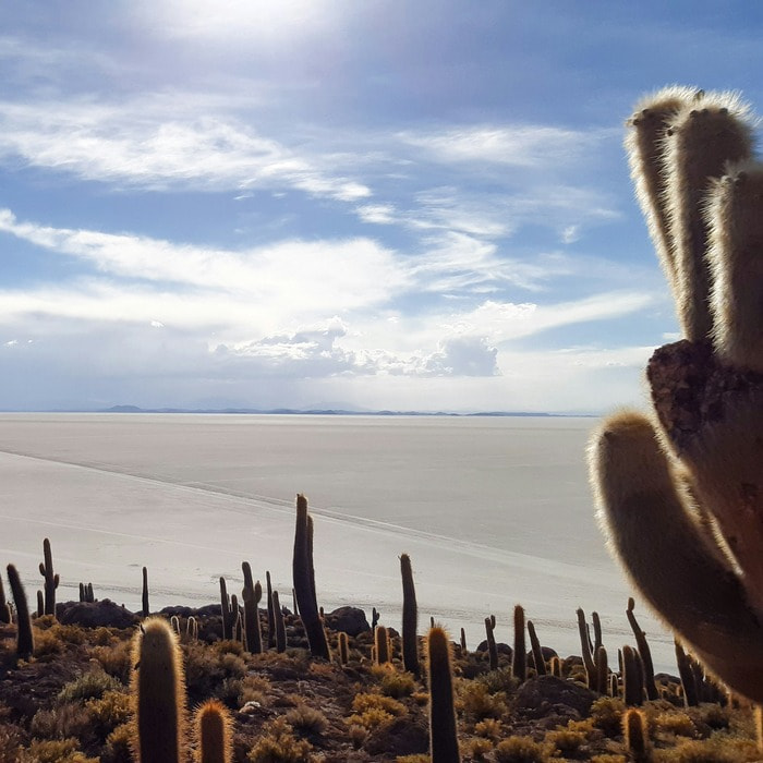 Latin Sunshine &middot; Pop Latino